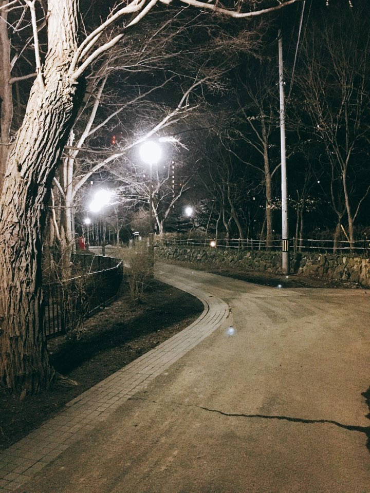 쌩뚱맞은 시기의 삿포로 08 - 성진국 문화 탐방 (15금)_15.jpg