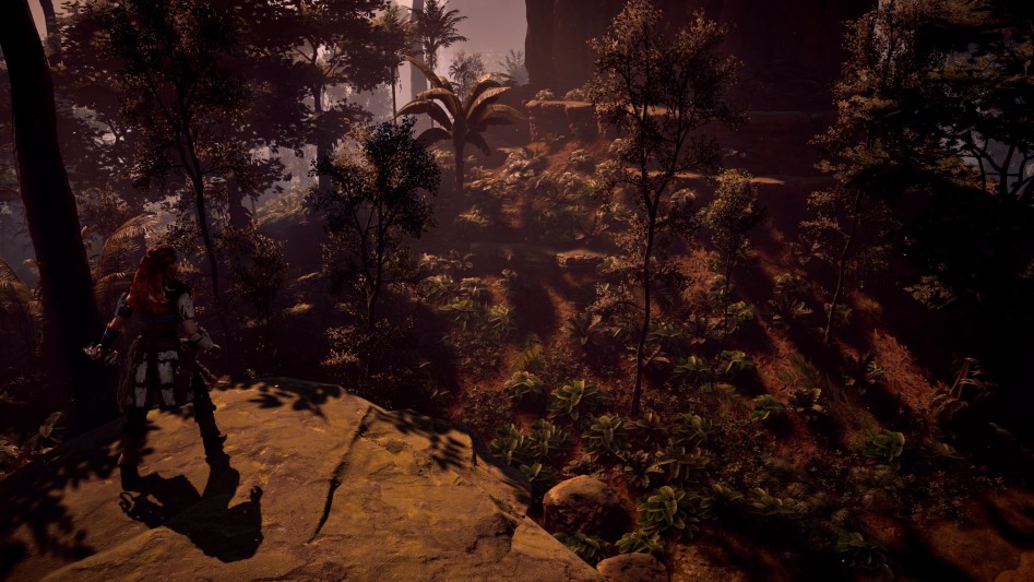 Horizon Zero Dawn™_20170417151720.jpg