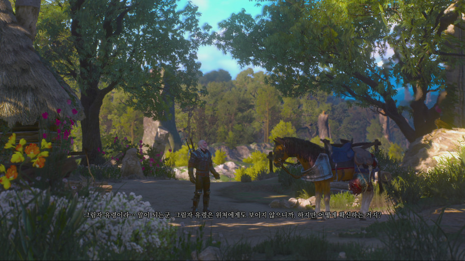 witcher3_127.jpg