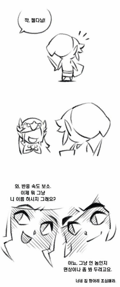 [게임]젤다의 전설 브레스 오브 더 와일드 (야생의 숨결) 코스프레_8.jpg