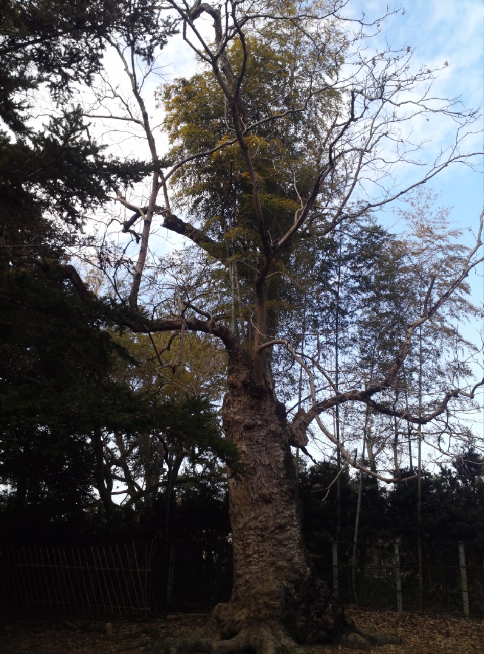 연말연초에 또 애인보러 간뒷북 일본여행이야기 스압 일본설날-오사카-나라 PART3_48.jpg