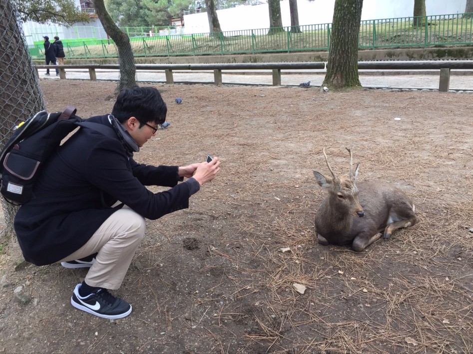 연말연초에 또 애인보러 간뒷북 일본여행이야기 스압 일본설날-오사카-나라 PART3_32.jpg