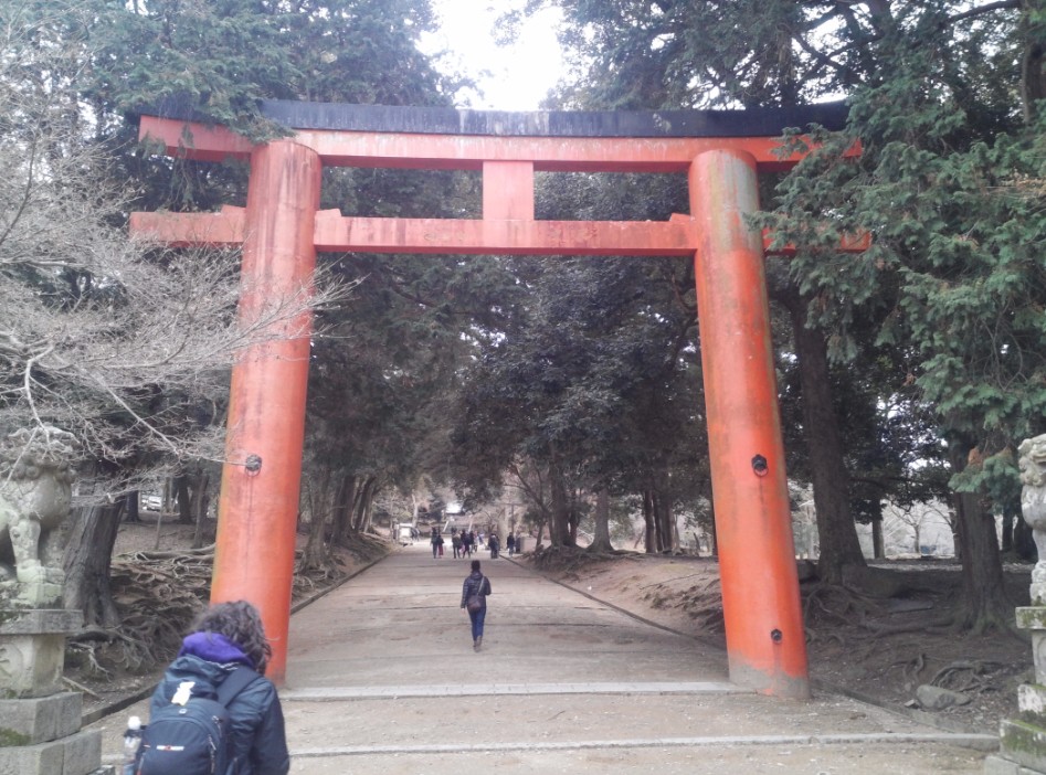 연말연초에 또 애인보러 간뒷북 일본여행이야기 스압 일본설날-오사카-나라 PART3_64.jpg