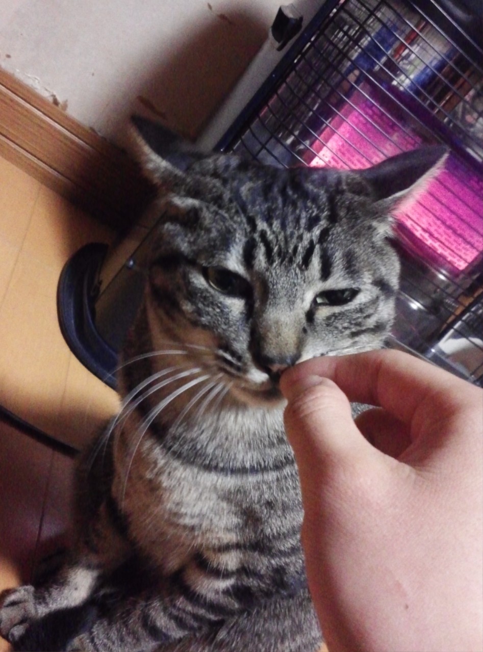 연말연초에 또 애인보러 간뒷북 일본여행이야기 스압 일본설날-오사카-나라 PART3_152.jpg