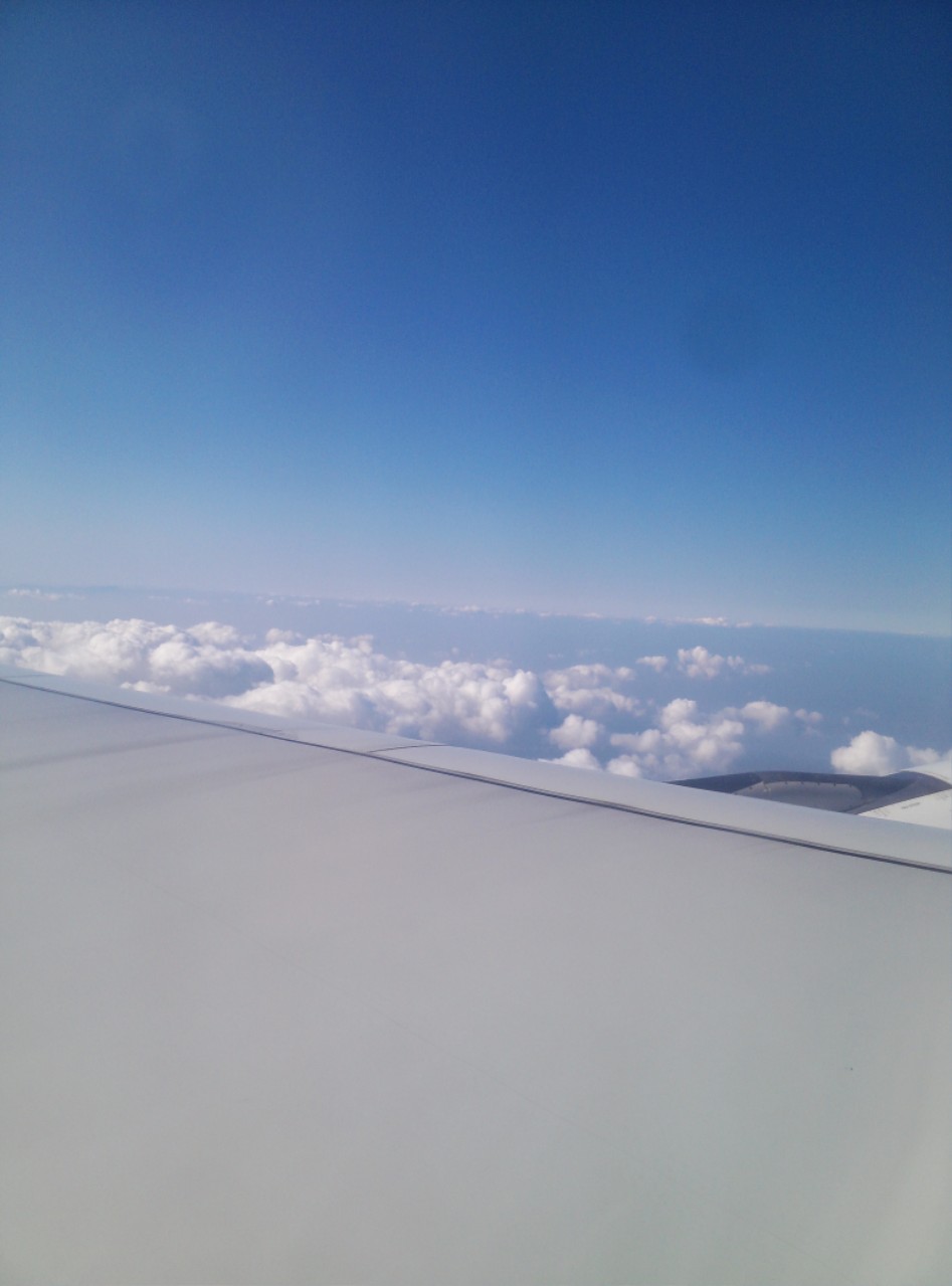 연말연초에 또 애인보러 간뒷북 일본여행이야기 스압 일본설날-오사카-나라 PART3_216.jpg