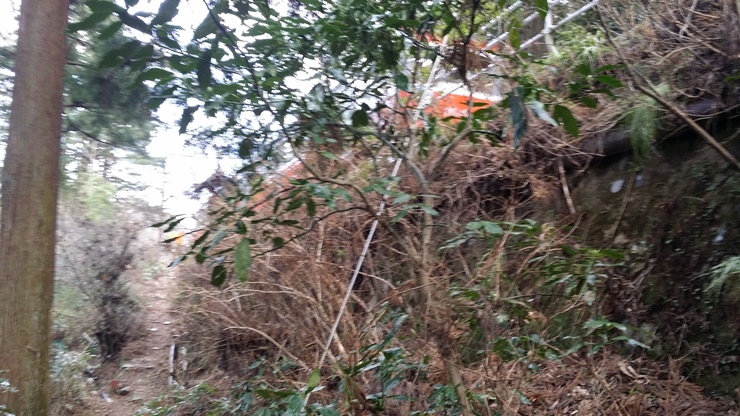 [스압]벨티네의 고독한 미식가 순례기 6. 카나가와현 하코네마치 이로리야_50.jpg