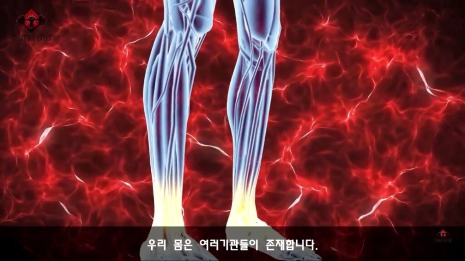 우리가 몰랐던 기초대사량의 진실1.jpg