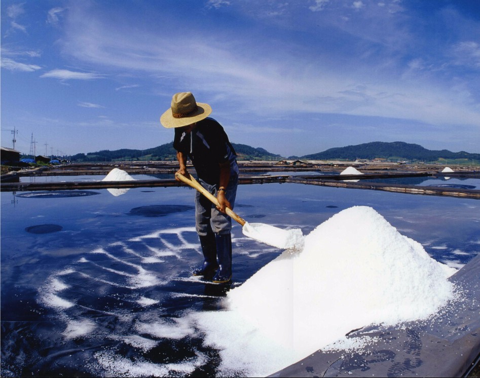 소금아 우리 사귄지 얼마나 되었지?_1.jpg