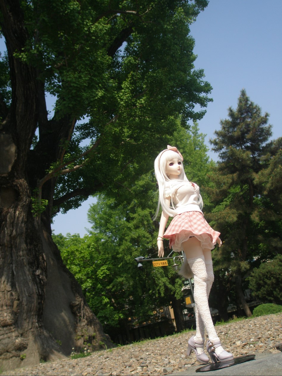 날이 점점 더워지고 있습니다._5.jpg