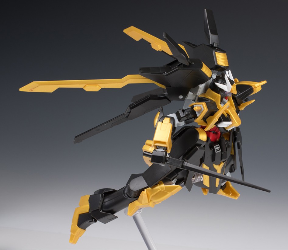 hgbf_schwarzritter037.jpg