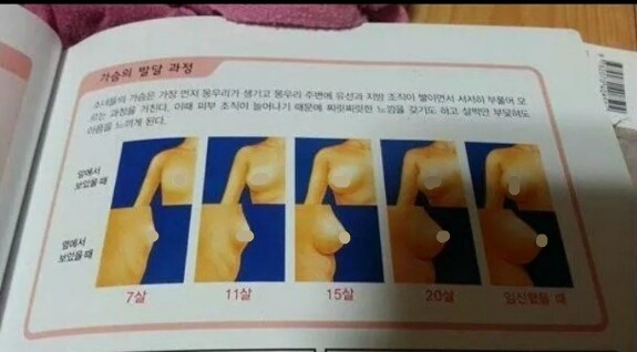 국민들을 속이는 교과서.jpg_1.jpg