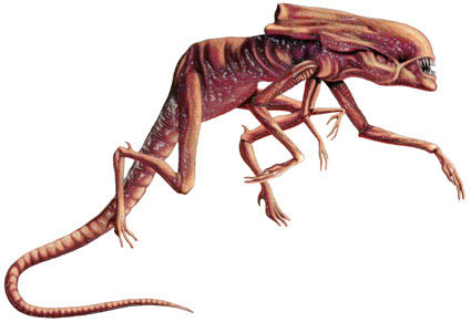 에일리언 지금까지 영화에 나온거 정리해봤음.(브금)_8.jpg