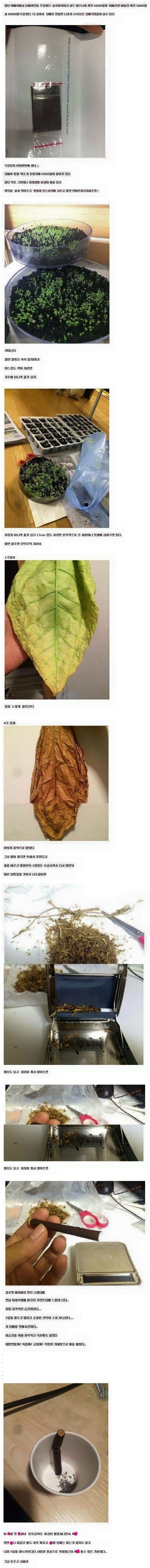 흡연가의 정성_1.jpg