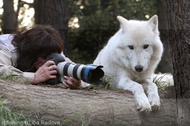 어떤 동물 사진작가의 친화력._4.jpg