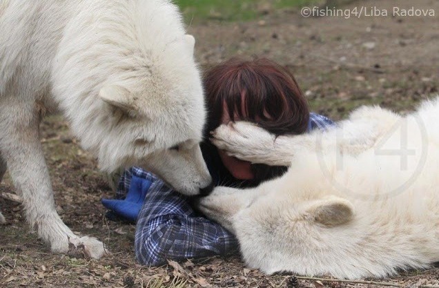 어떤 동물 사진작가의 친화력._5.jpg