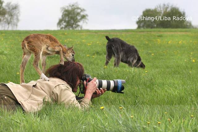 어떤 동물 사진작가의 친화력._12.jpg