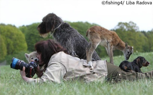 어떤 동물 사진작가의 친화력._15.jpg
