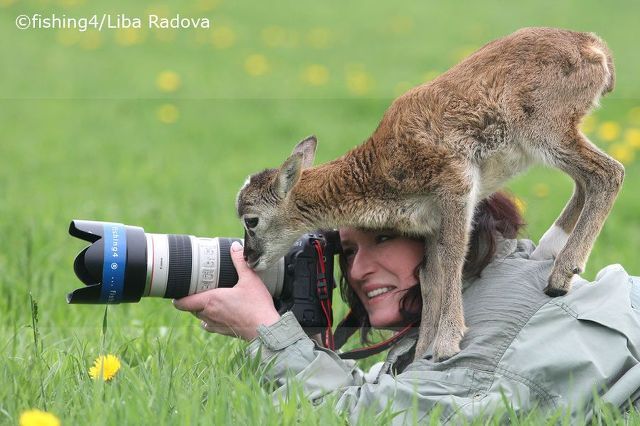 어떤 동물 사진작가의 친화력._13.jpg