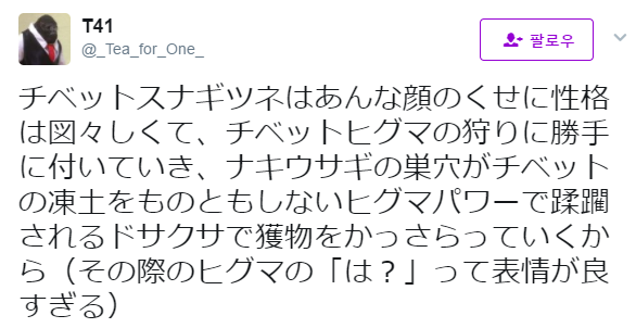 티벳여우가 사냥하는 법.jpg_1.png