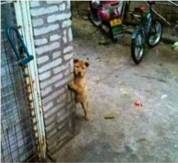 사, 살려줘... 제발! 그들이 온다...!_1.jpg