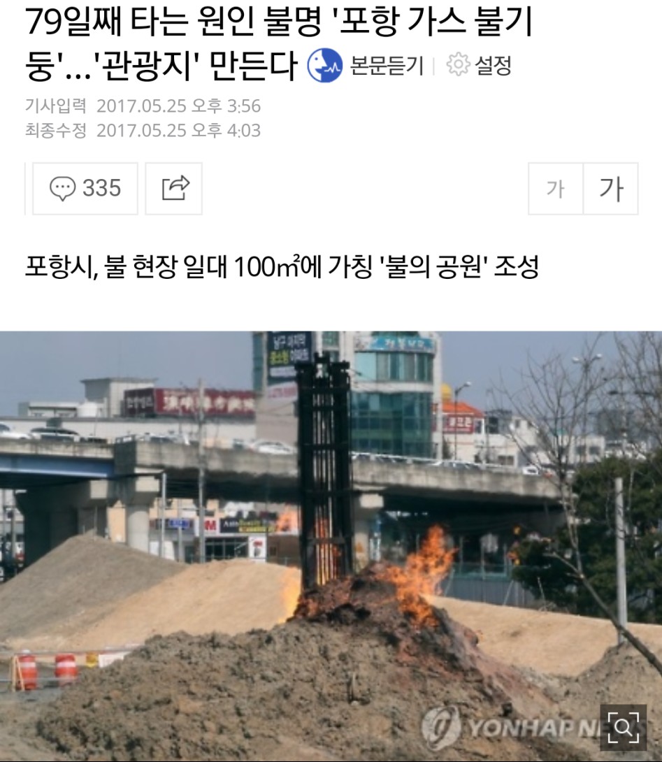 한국의 스프링필드.jpg_1.png