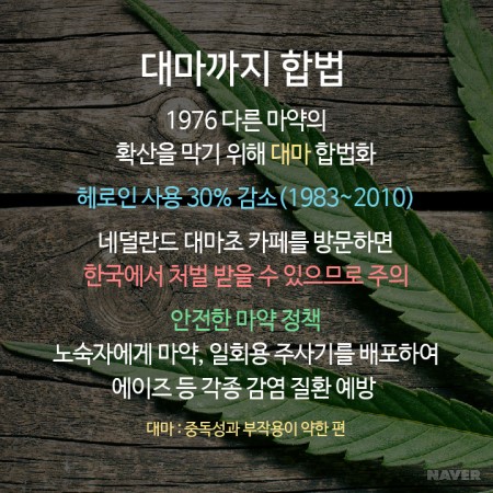 동성결혼, 안락사, 대마, 낙태, 성매매 전부 합법 ?! . jpg_2.jpg