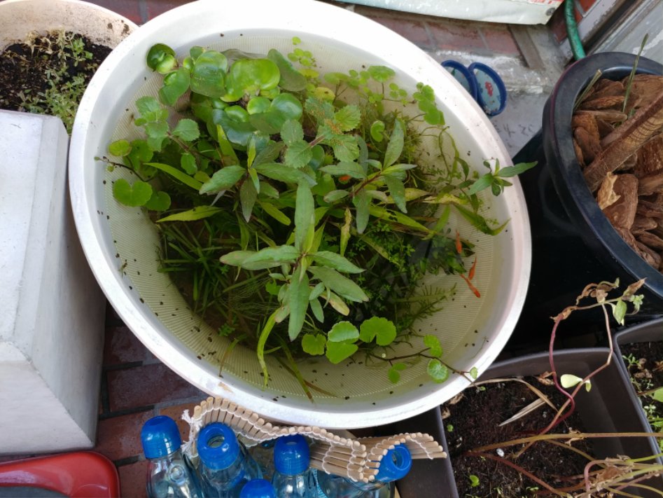 후쿠오카 + 자전거 + 가성비 여행 (2일차-6/22)_46.jpg