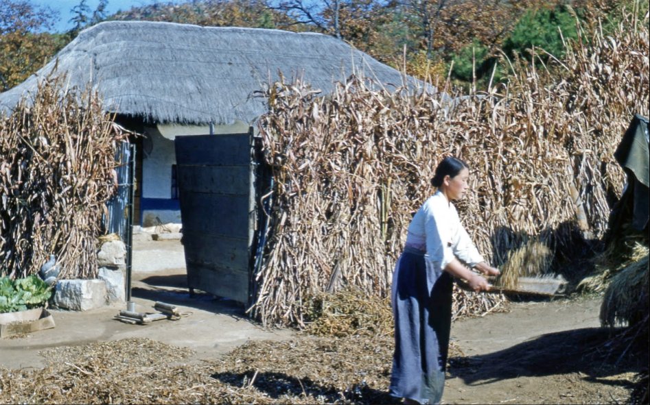 한국 전쟁 의료지원군 노르웨이 "Normash" 당시 모습_31.jpg