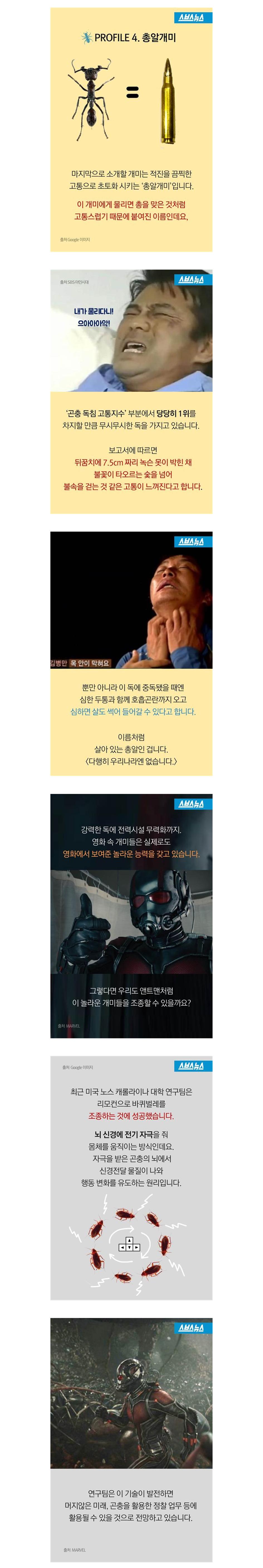 '앤트맨'이 현실로…개미의 놀라운 능력003.jpg