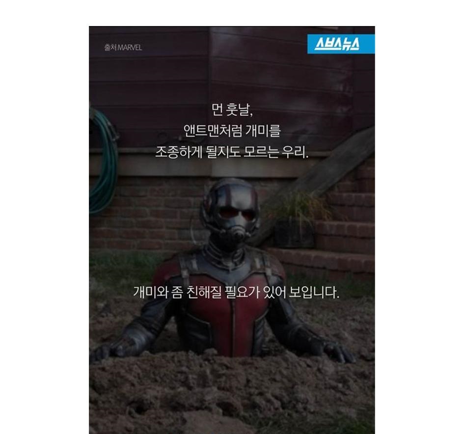 '앤트맨'이 현실로…개미의 놀라운 능력004.jpg