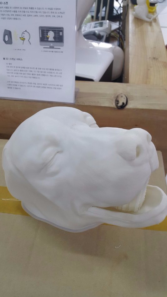 3D프린팅 동물 수술의료모형 제작기_6.jpg
