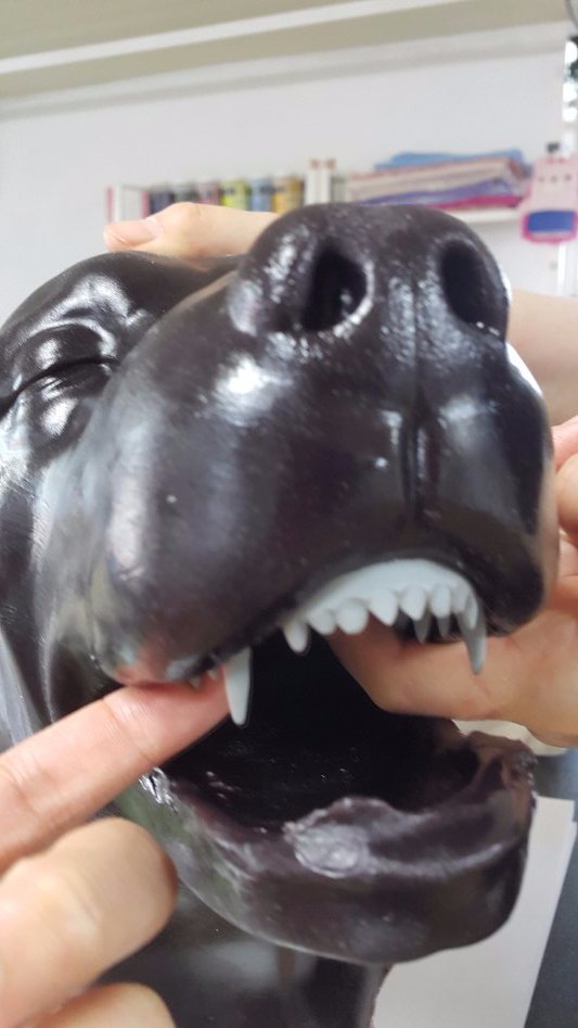 3D프린팅 동물 수술의료모형 제작기_19.jpg