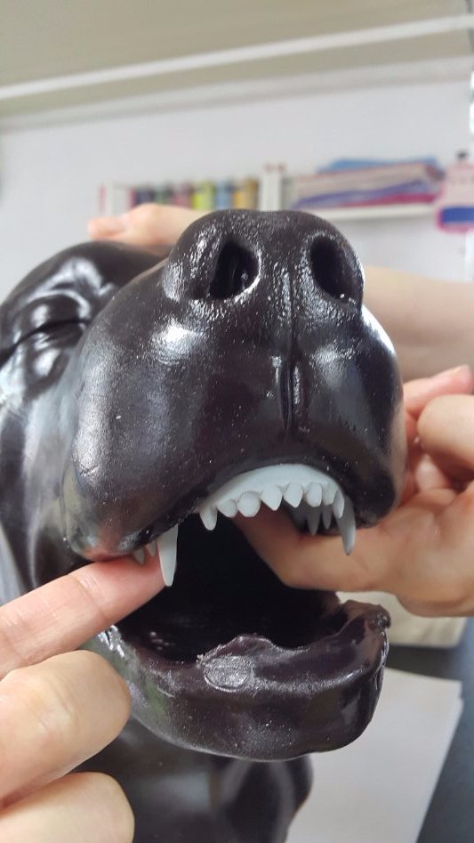3D프린팅 동물 수술의료모형 제작기_20.jpg