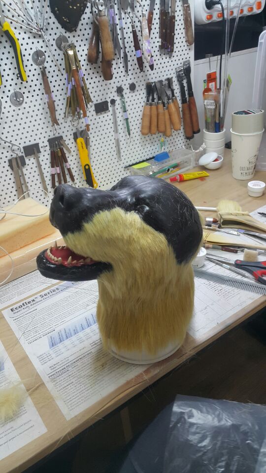 3D프린팅 동물 수술의료모형 제작기_23.jpg