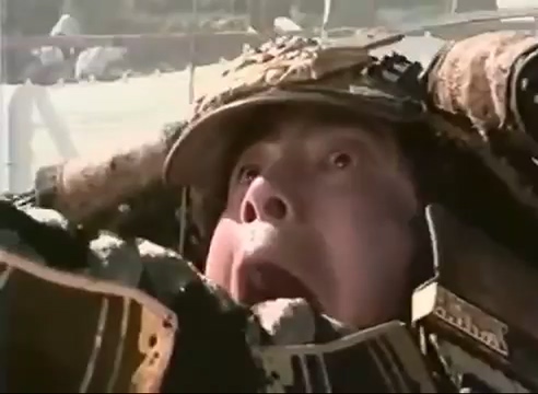 과거 한국의 일본 정벌.jpg_7.jpg