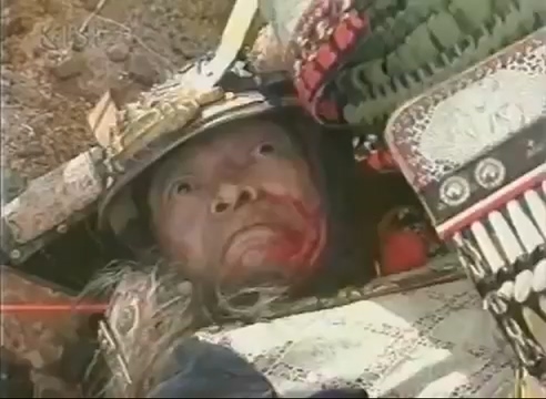 과거 한국의 일본 정벌.jpg_20.jpg