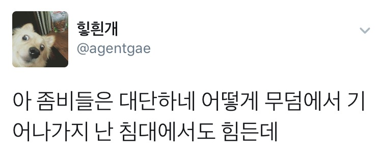 아 좀비들은 대단하네_1.png