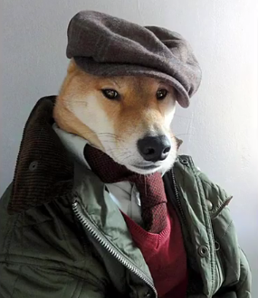 견빈근황_2.png