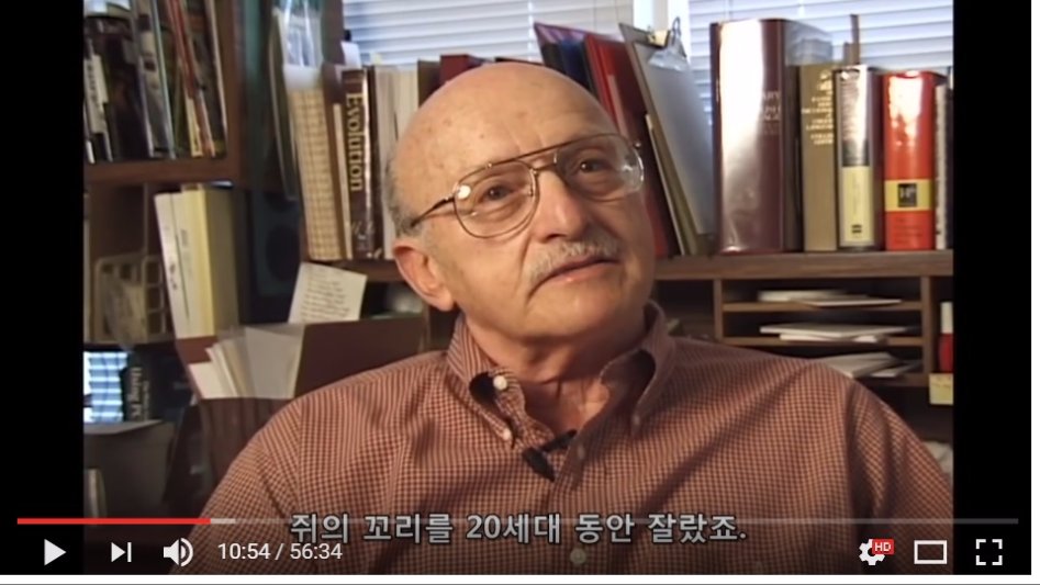 진화론을 믿을 수 없는 이유._6.jpg