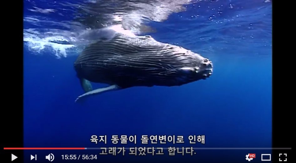 진화론을 믿을 수 없는 이유._11.jpg