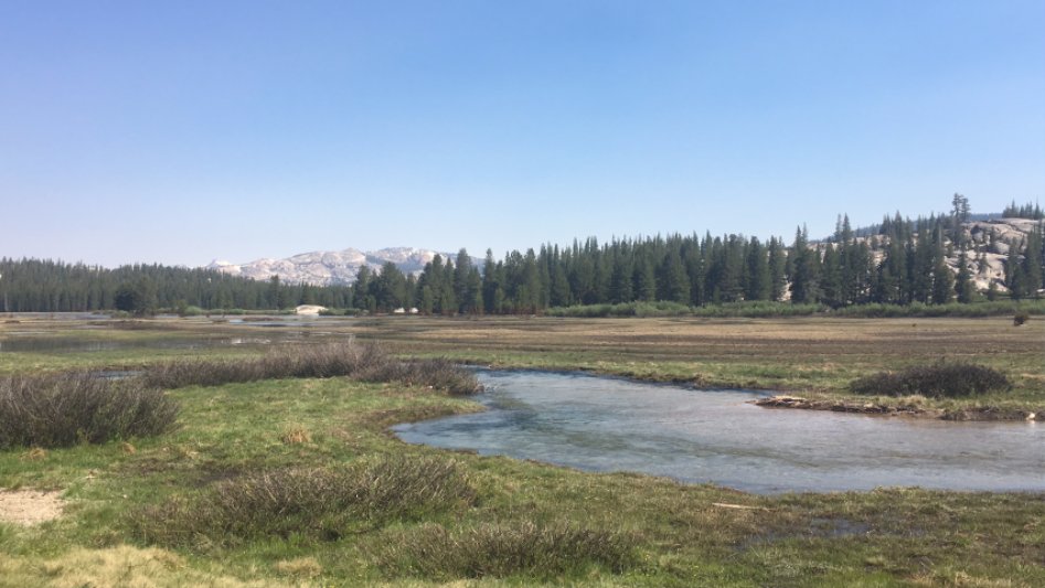 장모님 모시고 12박 14일 미쿡 자동차 여행(스압주의)_96.jpg