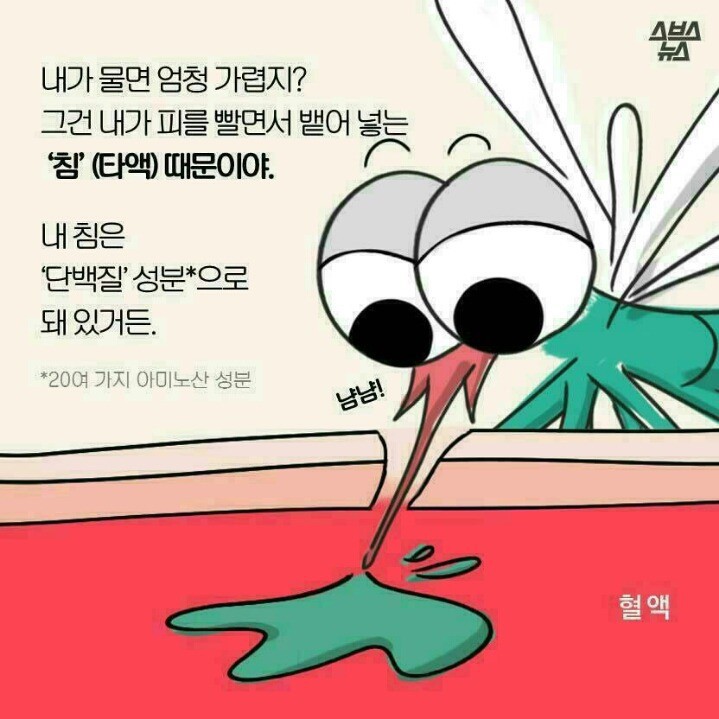 지긋지긋한 여름철 불청객 모기에 대해 알아보자2.jpg