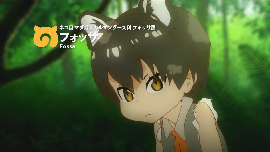 [모에-Raws] Kemono Friends #02 (TX 1280x720 x264 AAC).mp4_20170816_181050.678.jpg