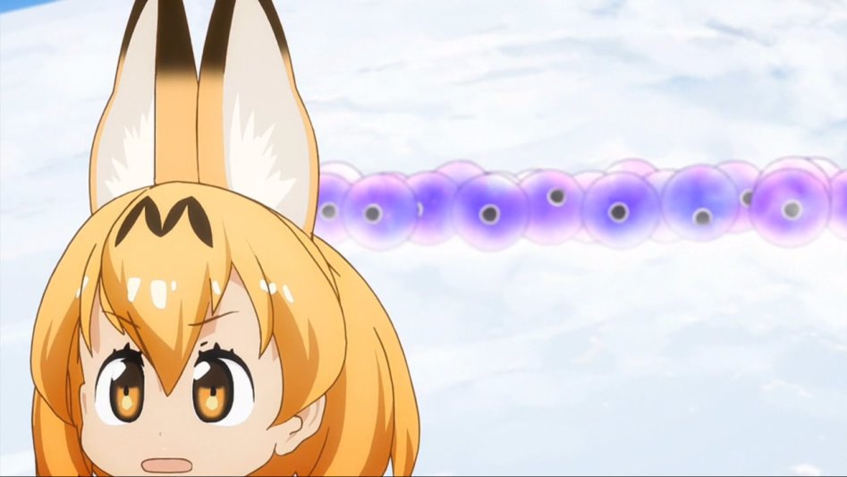 [모에-Raws] Kemono Friends #09 (TVA 1280x720 x264 AAC).mp4_20170818_060027.949.jpg