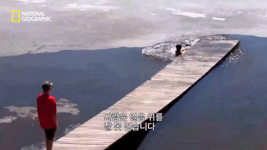 각본가의 애드리브.jpg_1.png