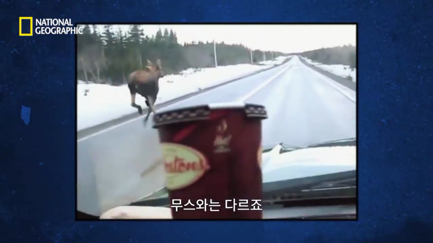 각본가의 애드리브.jpg_2.png