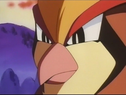 추억팔이 시작한 포켓몬 근황_5.png