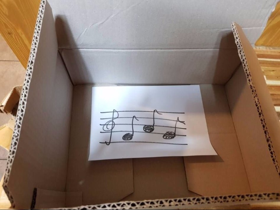 중고로운 평화나라 근황.jpg_1.jpg