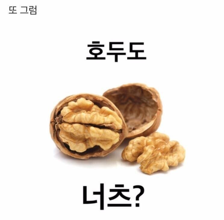 견과류 영어로 무엇? .jpg_4.jpeg