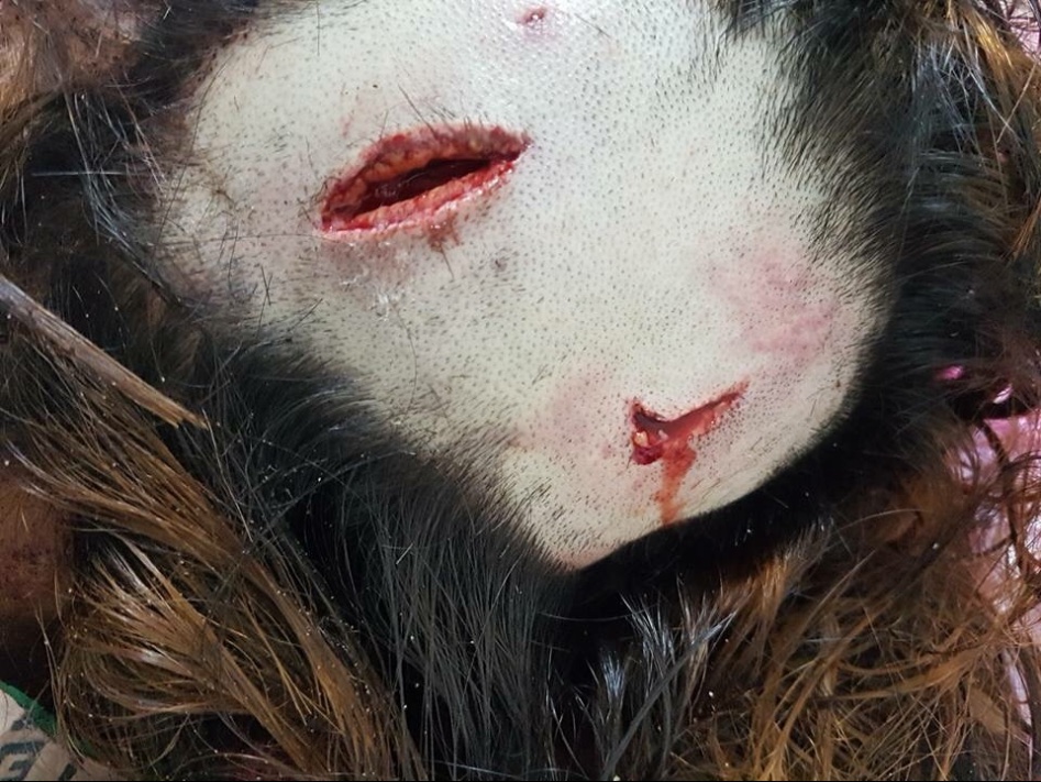 혐주의) 부산 여중생 폭행사건 요약_3.jpg